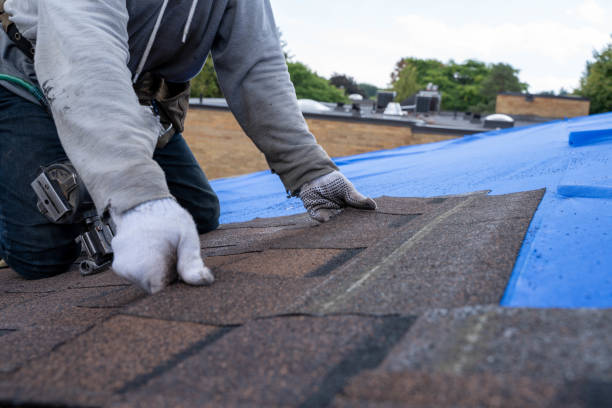 Best Residential Roofing Contractor  in Clintondale, NY
